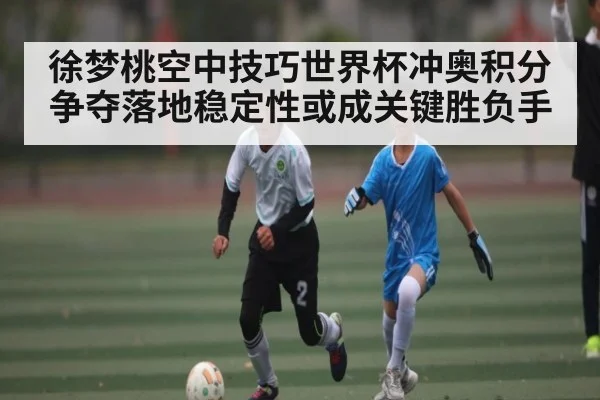 徐梦桃空中技巧世界杯冲奥积分争夺落地稳定性或成关键胜负手